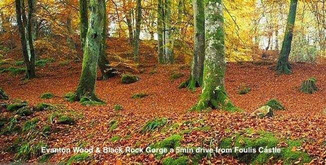 Foulis Castle Gate Lodge Evanton Luaran gambar